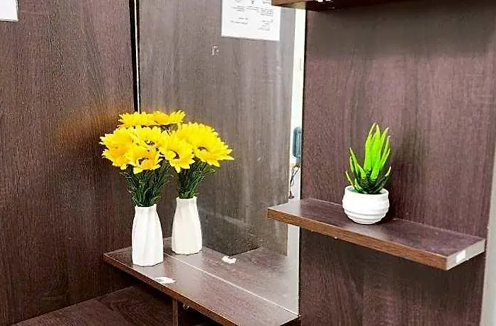 803-stp Homely Free Wi-fi And Near Bts Line Hotell 3*